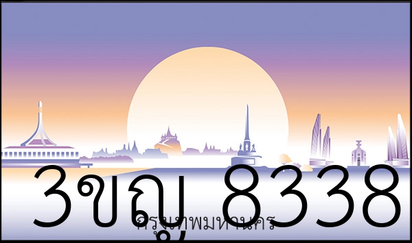 3ขญ 8338